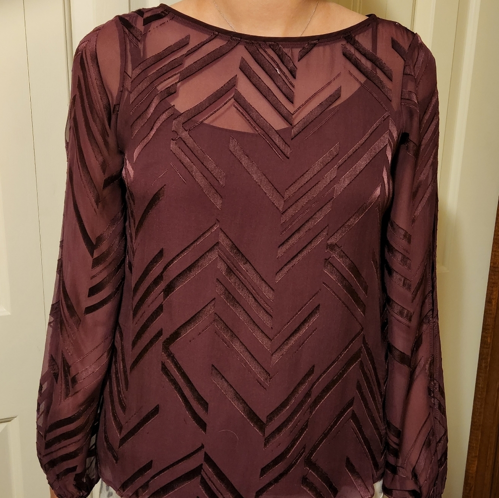 Burgandy White House Black Market Shirt with Camisole Size 4